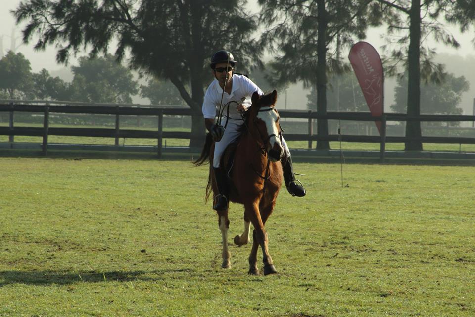 Tent Pegging